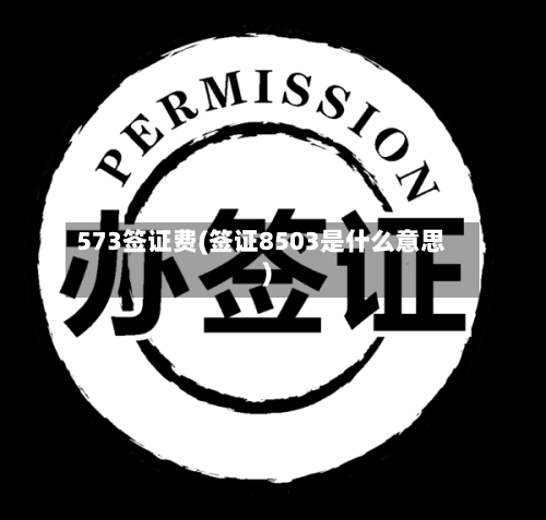 573签证费(签证8503是什么意思)