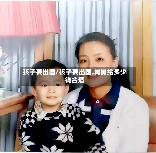 孩子要出国/孩子要出国,舅舅给多少钱合适-第2张图片