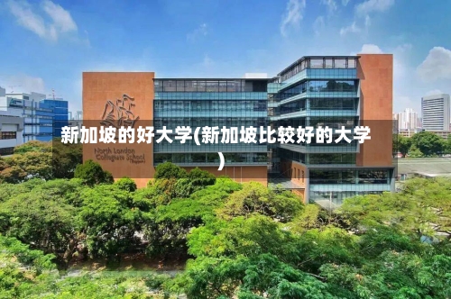 新加坡的好大学(新加坡比较好的大学)-第3张图片