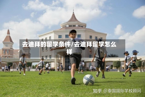 去迪拜的留学条件/去迪拜留学怎么样-第2张图片