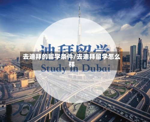 去迪拜的留学条件/去迪拜留学怎么样-第3张图片