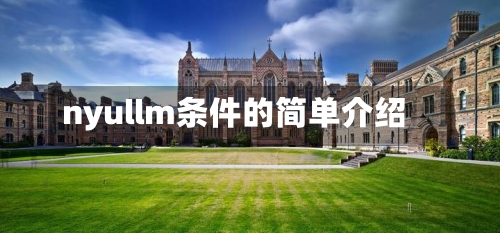 nyullm条件的简单介绍-第3张图片