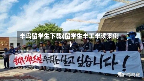半岛留学生下载(留学生半工半读案例)
