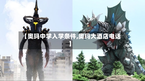 【奥玛中学入学条件,奥玛大酒店电话】