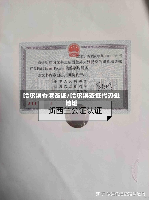 哈尔滨香港签证/哈尔滨签证代办处地址-第3张图片