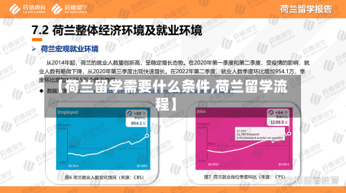 【荷兰留学需要什么条件,荷兰留学流程】-第2张图片