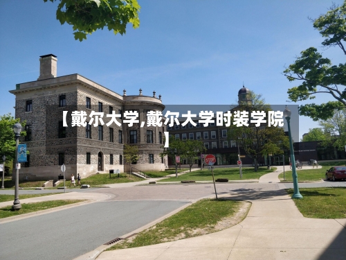 【戴尔大学,戴尔大学时装学院】-第2张图片