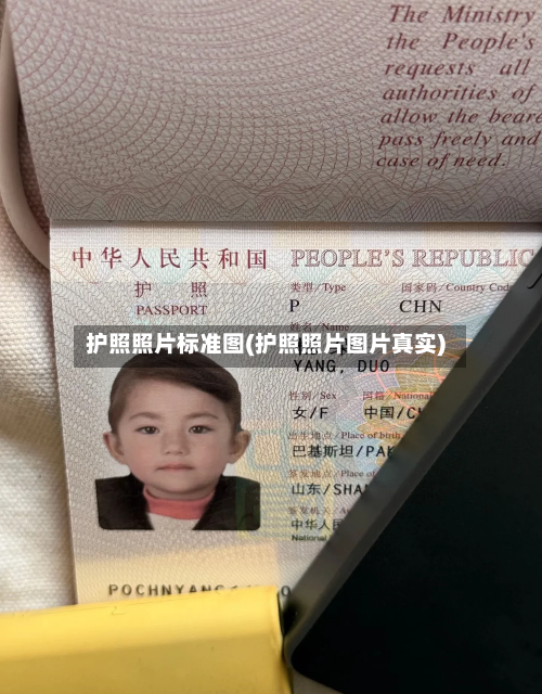 护照照片标准图(护照照片图片真实)-第2张图片