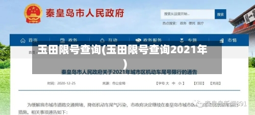 玉田限号查询(玉田限号查询2021年)-第3张图片
