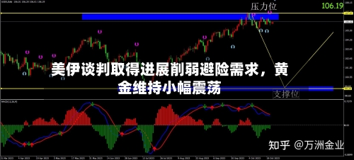美伊谈判取得进展削弱避险需求	，黄金维持小幅震荡-第3张图片