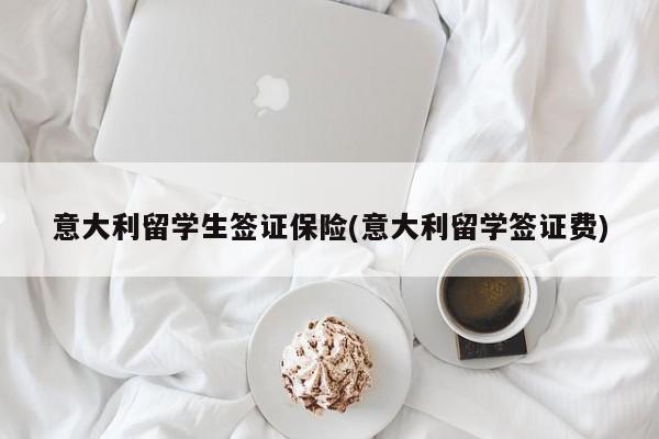 意大利留学生签证保险(意大利留学签证费)