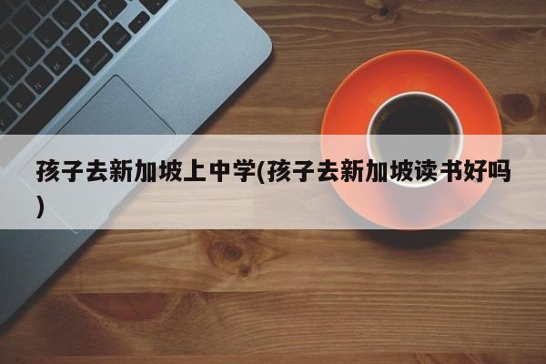 孩子去新加坡上中学(孩子去新加坡读书好吗)
