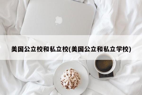 美国公立校和私立校(美国公立和私立学校)