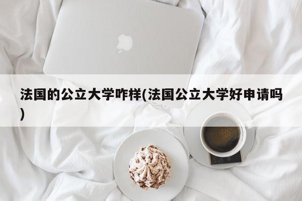 法国的公立大学咋样(法国公立大学好申请吗)