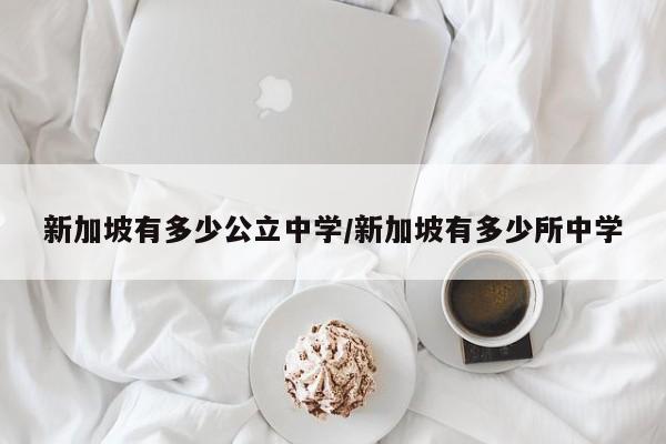新加坡有多少公立中学/新加坡有多少所中学