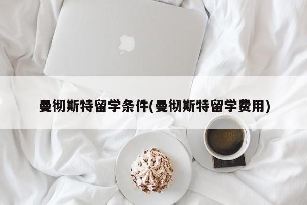 曼彻斯特留学条件(曼彻斯特留学费用)