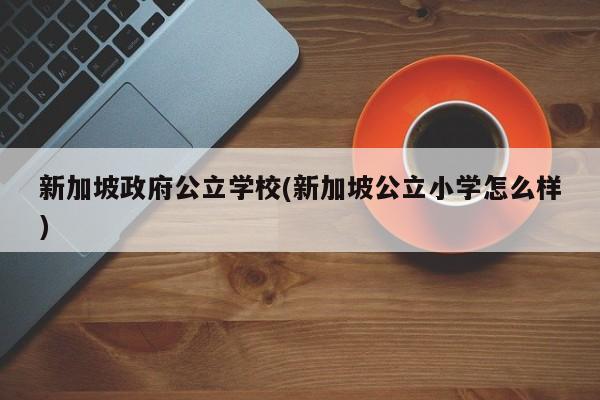 新加坡政府公立学校(新加坡公立小学怎么样)