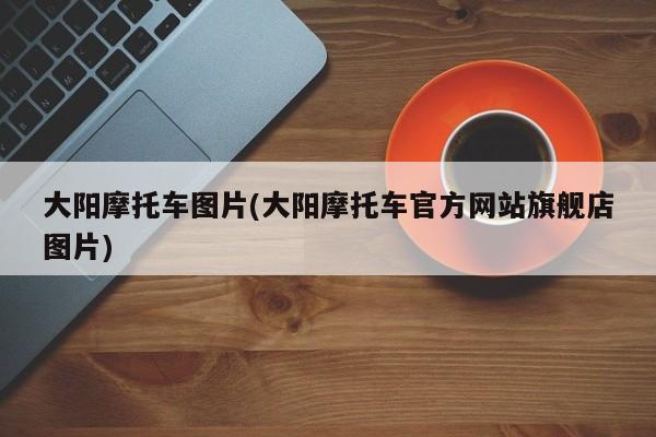 大阳摩托车图片(大阳摩托车官方网站旗舰店图片)