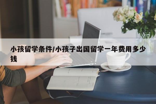 小孩留学条件/小孩子出国留学一年费用多少钱
