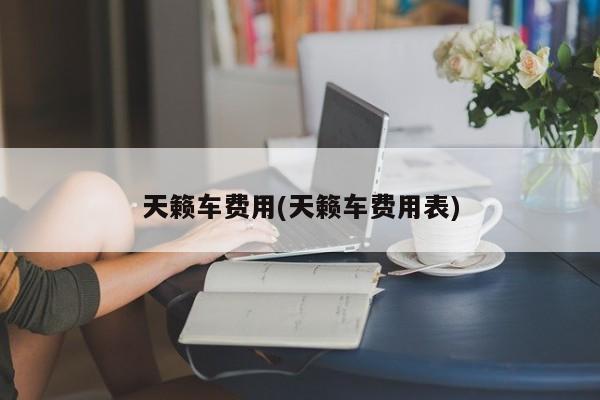 天籁车费用(天籁车费用表)