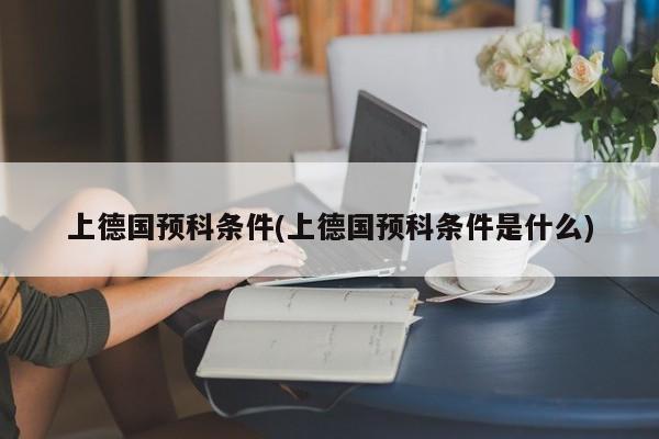 上德国预科条件(上德国预科条件是什么)