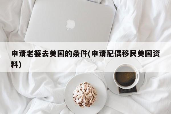 申请老婆去美国的条件(申请配偶移民美国资料)